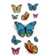 Flashy Butterflies