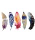 Colored Feathers