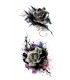 Splash Rose