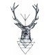Majestic Elk
