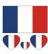 Bandera Francesa II