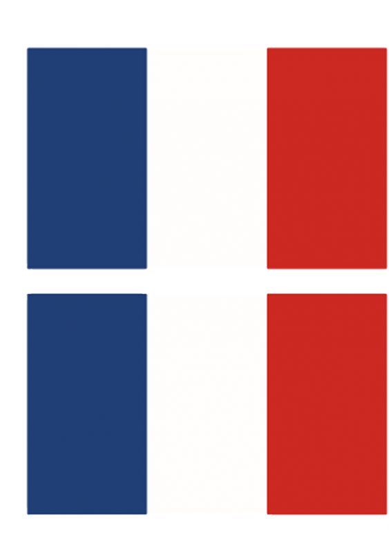 Bandera Francesa