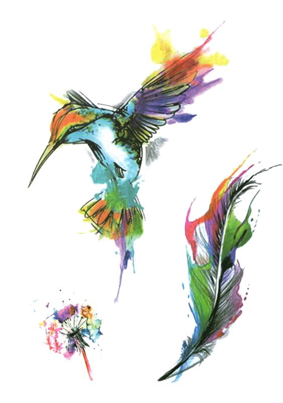 Hummingbird & Feather
