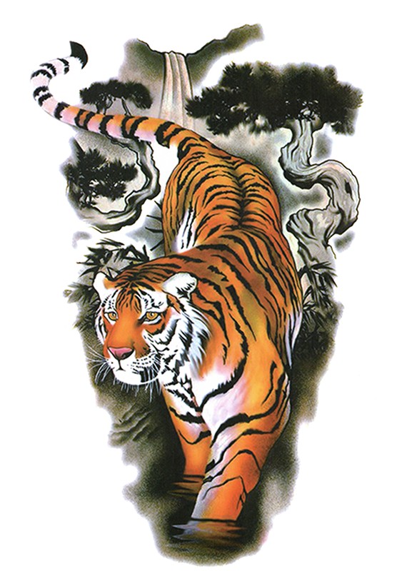 Tiger III