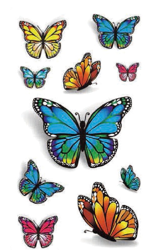Papillones